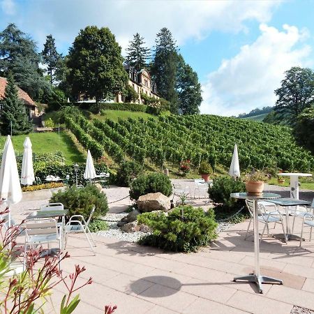 Wein Lodge Durbach - Josephsberg Dış mekan fotoğraf