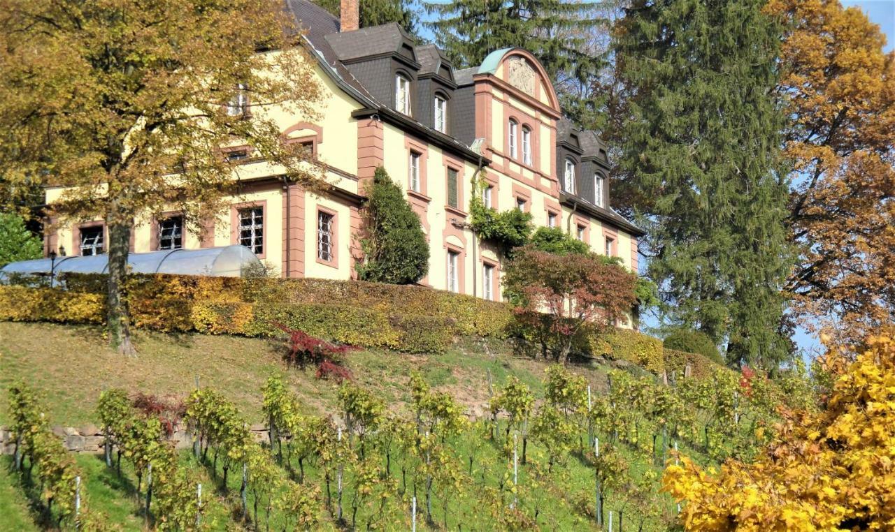 Wein Lodge Durbach - Josephsberg Dış mekan fotoğraf